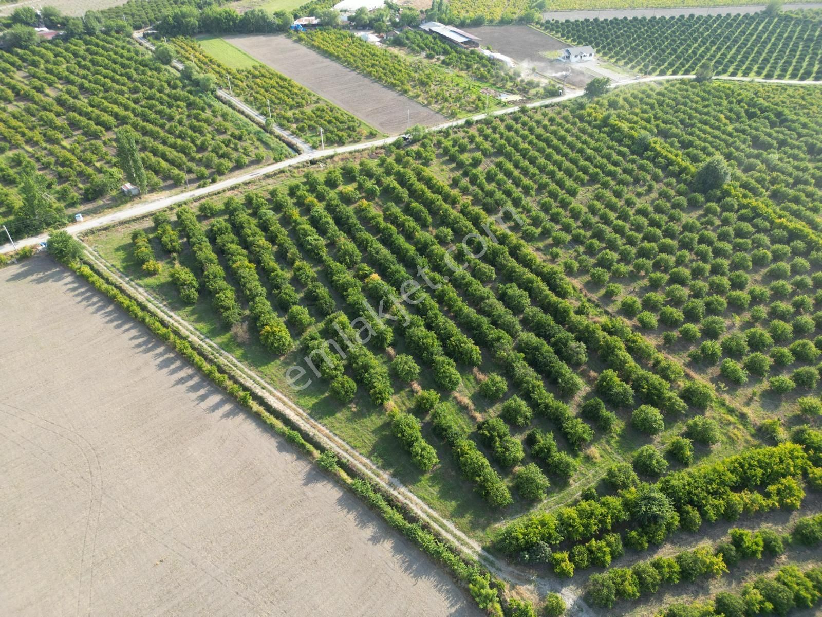 Muğla Ortaca Tepearası De 23 000 M² Müstakil Tarla Satılık - Görsel 6