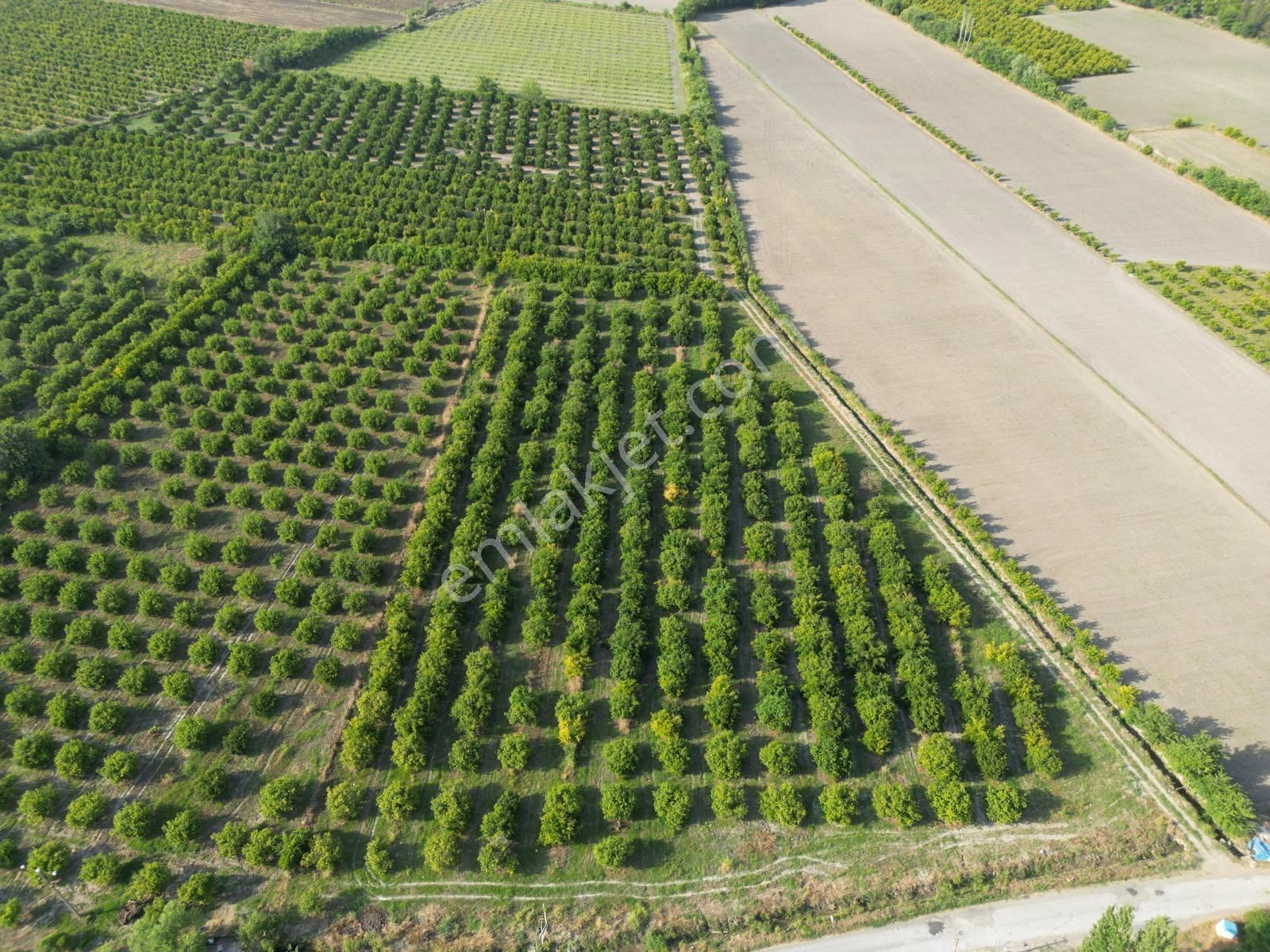 Muğla Ortaca Tepearası De 23 000 M² Müstakil Tarla Satılık - Görsel 11