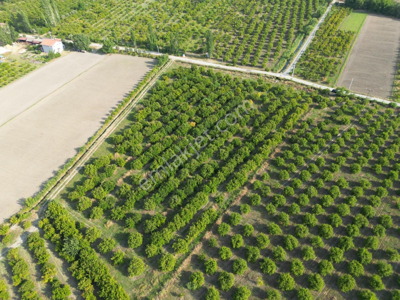 Muğla Ortaca Tepearası De 23 000 M² Müstakil Tarla Satılık - Görsel 4