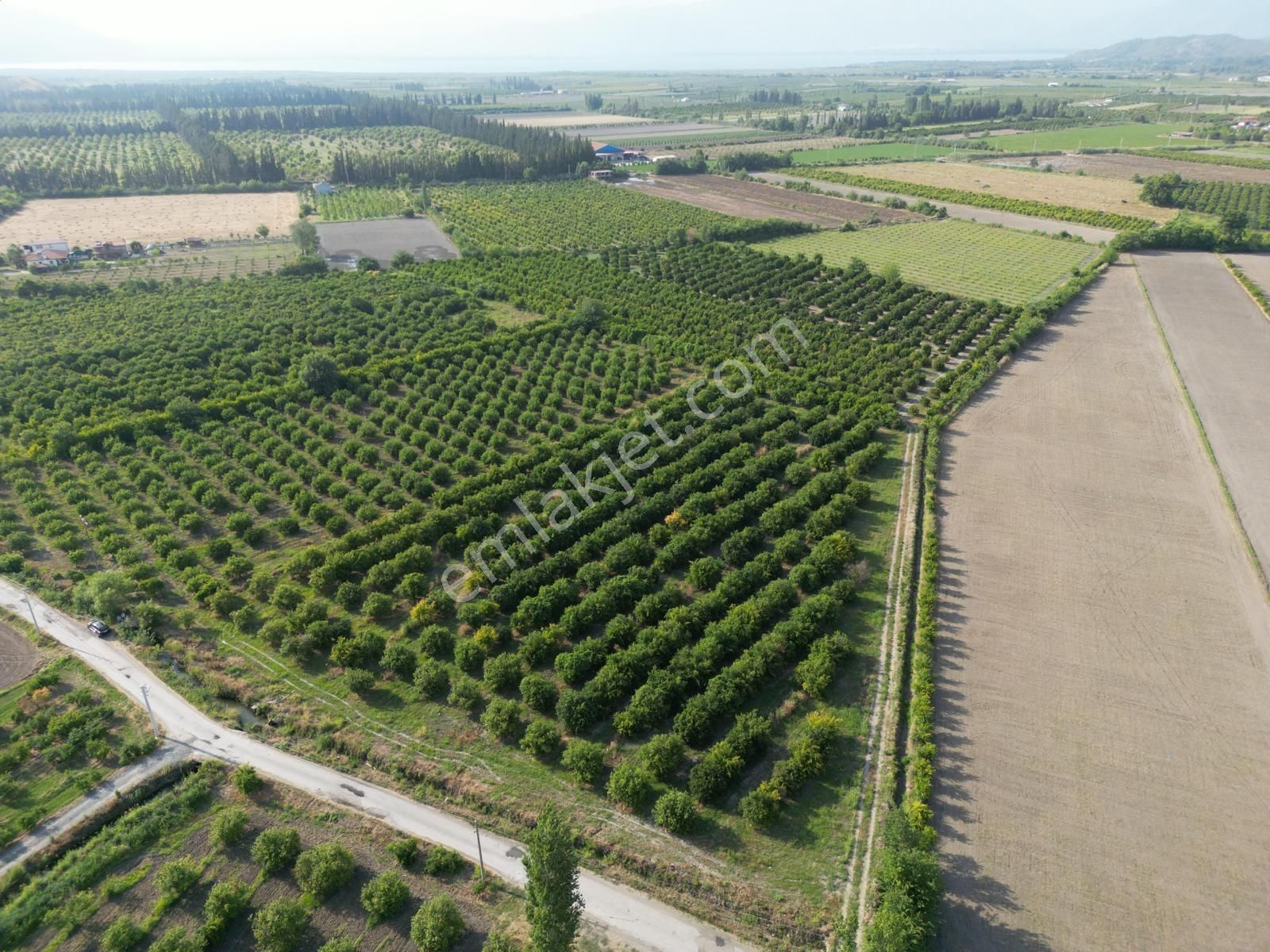 Muğla Ortaca Tepearası De 23 000 M² Müstakil Tarla Satılık - Görsel 5