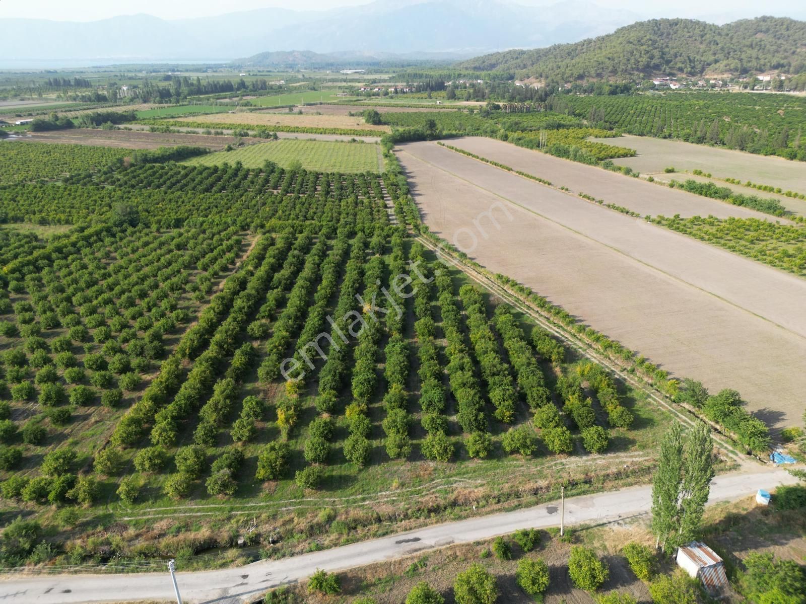 Muğla Ortaca Tepearası De 23 000 M² Müstakil Tarla Satılık - Görsel 7