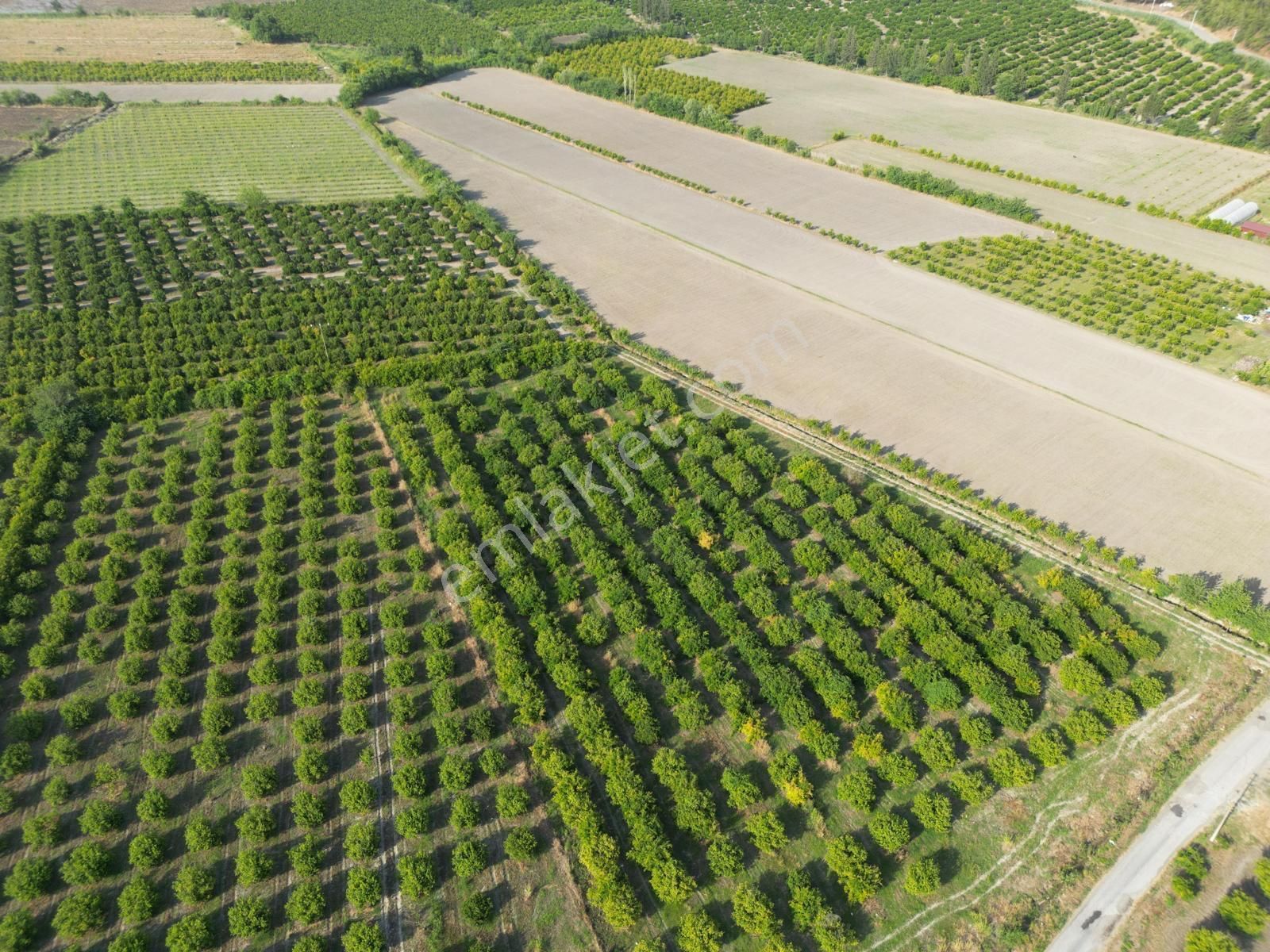 Muğla Ortaca Tepearası De 23 000 M² Müstakil Tarla Satılık - Görsel 2