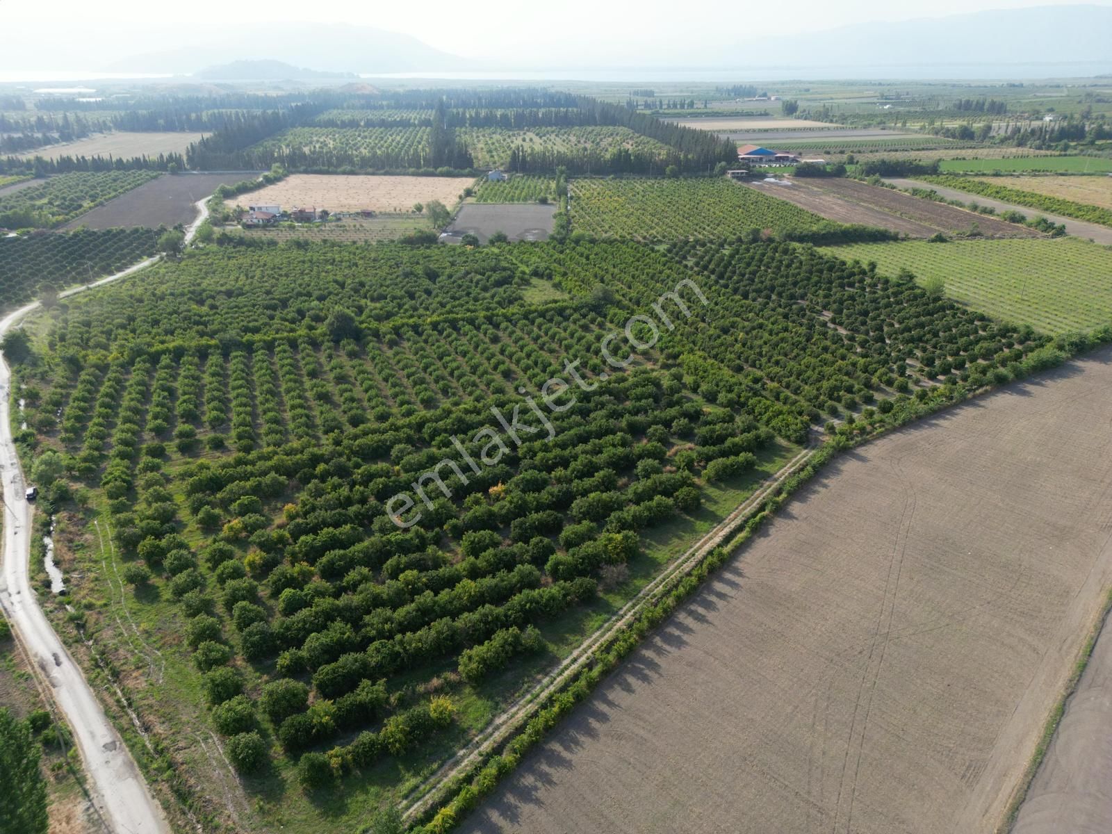 Muğla Ortaca Tepearası De 23 000 M² Müstakil Tarla Satılık - Görsel 13