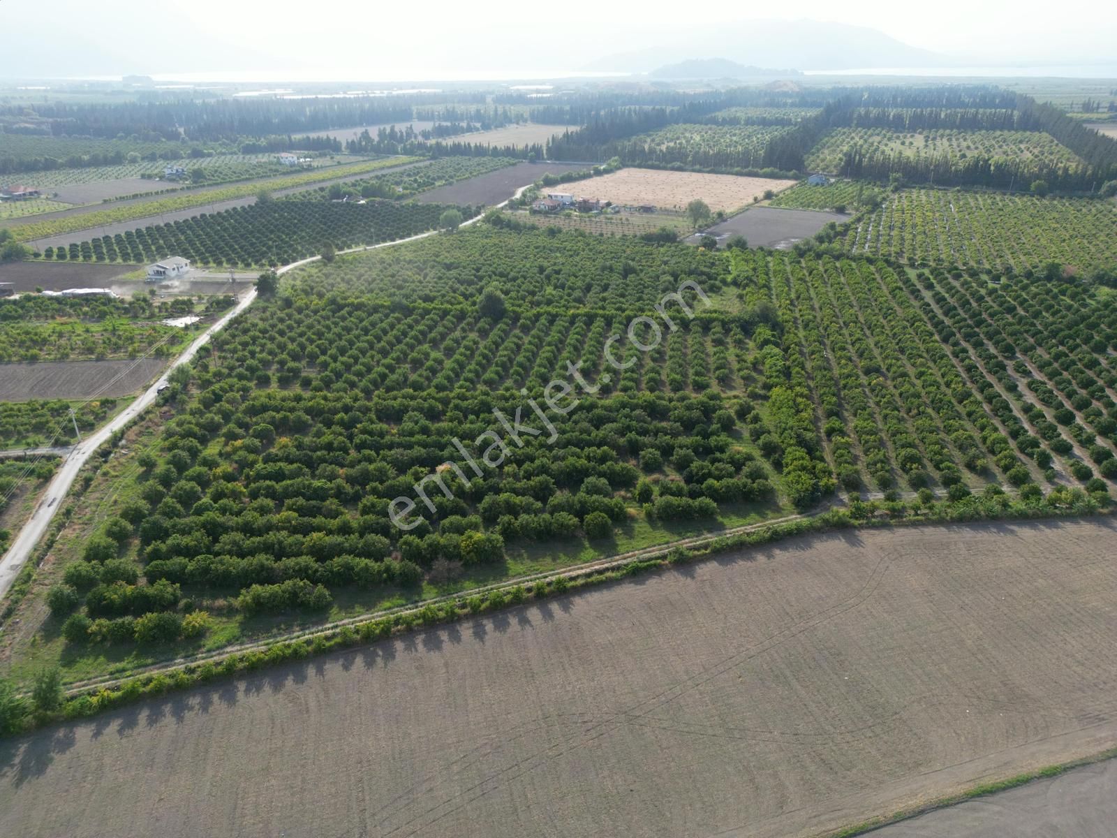 Muğla Ortaca Tepearası De 23 000 M² Müstakil Tarla Satılık - Görsel 14