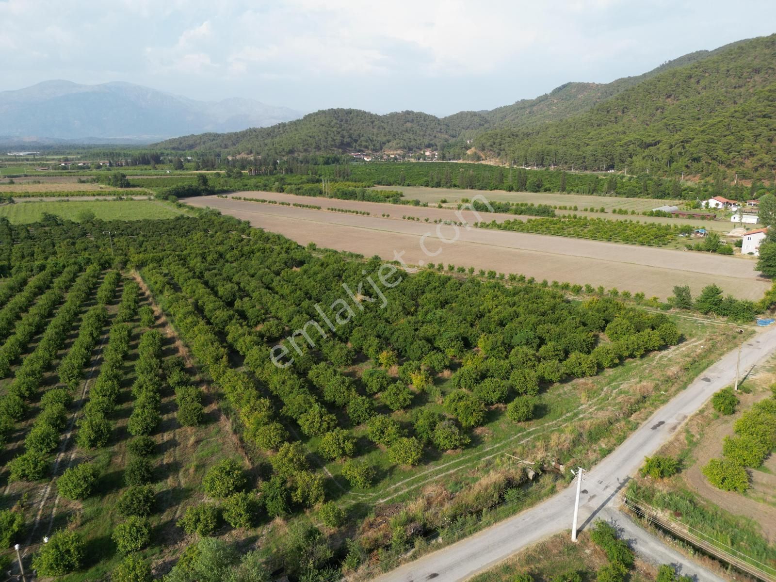Muğla Ortaca Tepearası De 23 000 M² Müstakil Tarla Satılık - Görsel 8