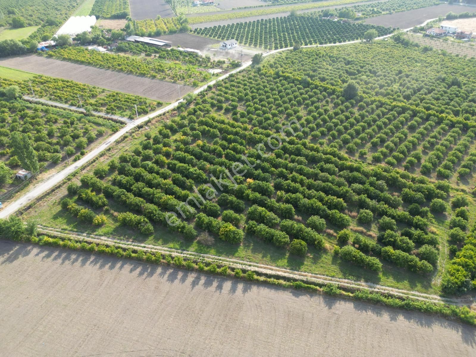 Muğla Ortaca Tepearası De 23 000 M² Müstakil Tarla Satılık