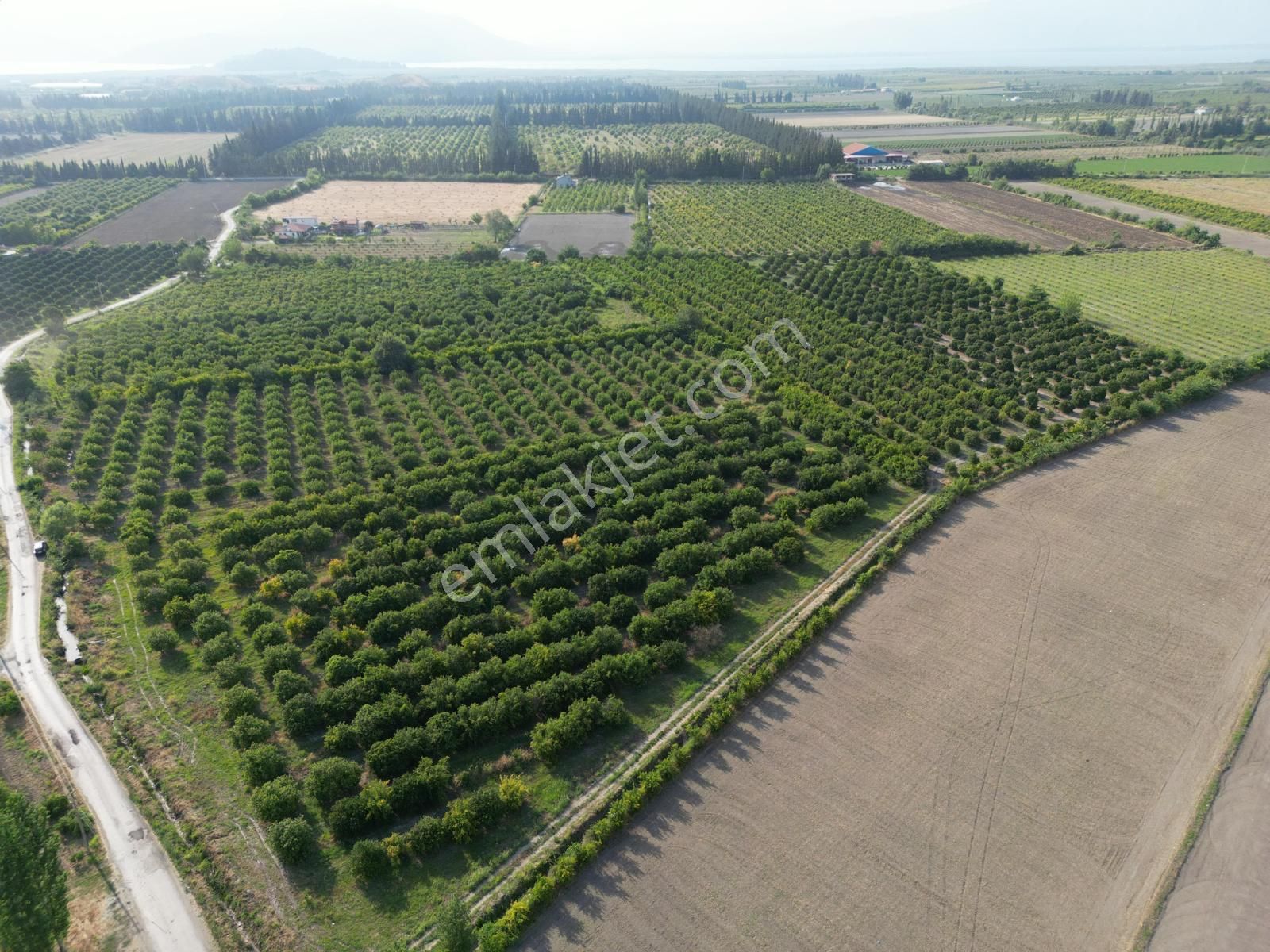 Muğla Ortaca Tepearası De 23 000 M² Müstakil Tarla Satılık - Görsel 12