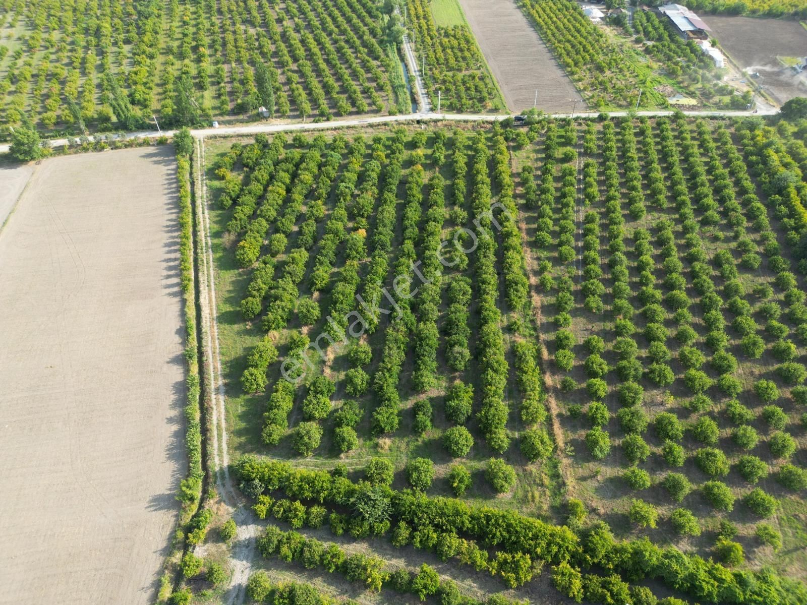 Muğla Ortaca Tepearası De 23 000 M² Müstakil Tarla Satılık - Görsel 9