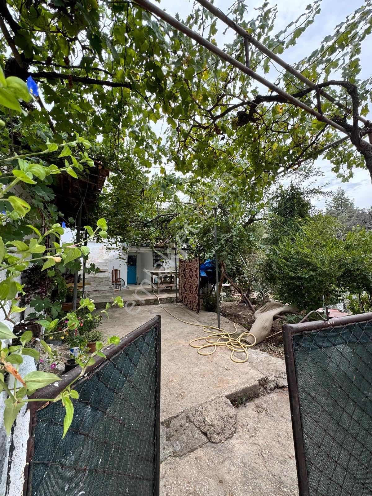 Muğla Menteşe Yeşilyurt Mah. Satılık Orijinal Taş Ev Ve Arsası - Görsel 3