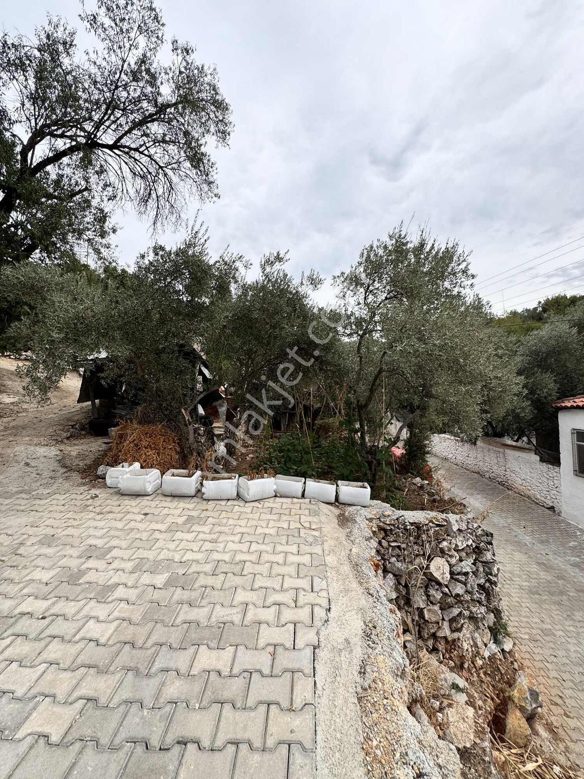 Muğla Menteşe Yeşilyurt Mah. Satılık Orijinal Taş Ev Ve Arsası - Görsel 10