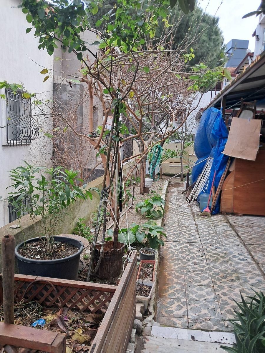 Urla Iskelede Denıze Yurume Mesafesınde - Görsel 16