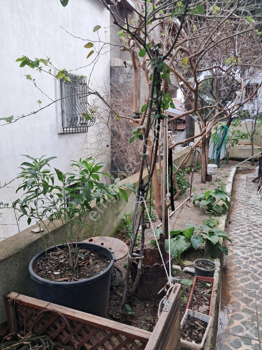 Urla Iskelede Denıze Yurume Mesafesınde