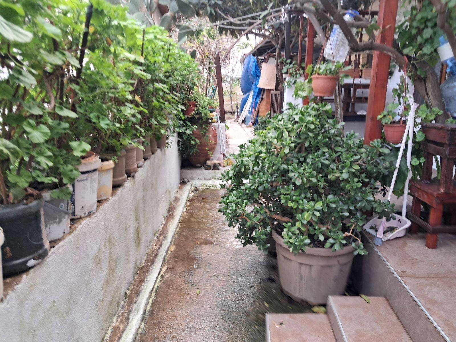 Urla Iskelede Denıze Yurume Mesafesınde - Görsel 6