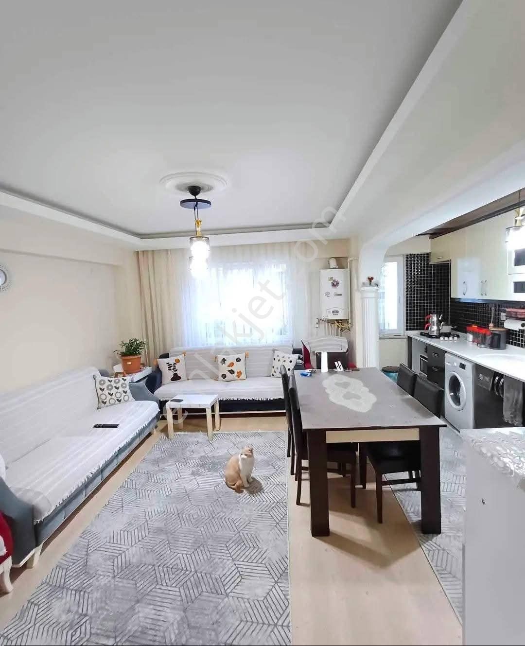 Samsun İlkadım Kadifekale Mahallesi'nde Masrafsız - Görsel 4