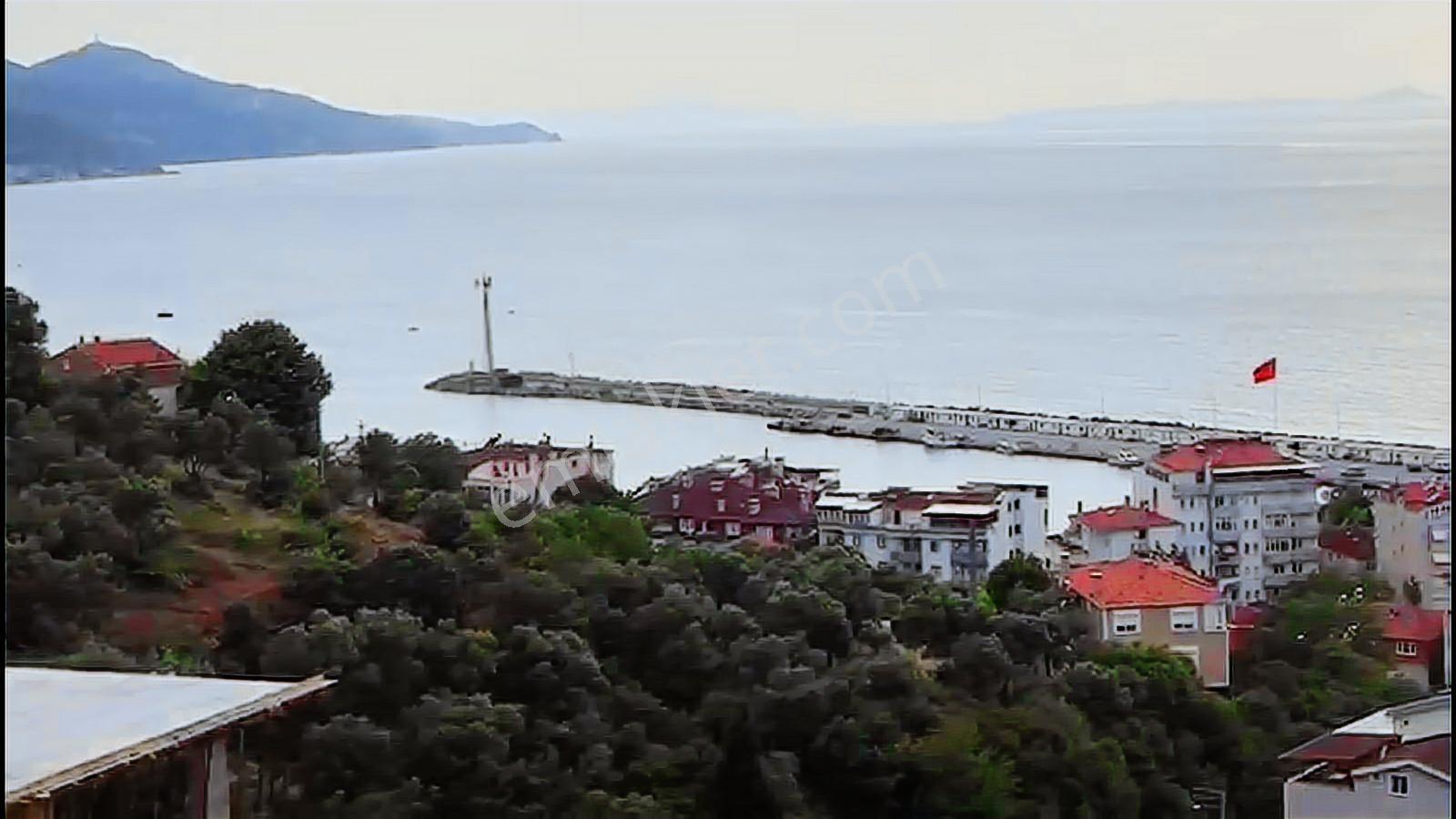Acil Yalova Çınarcık Esenköy De Satılık Arsa - Görsel 6