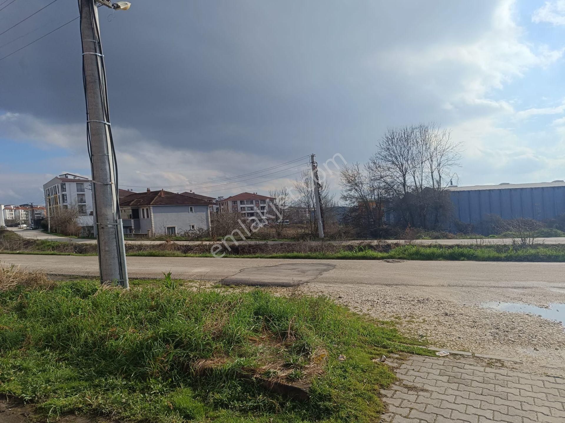 Remax Palas'tan Satılık Üniversite Bölgesinde 1+1 Daire - Görsel 2