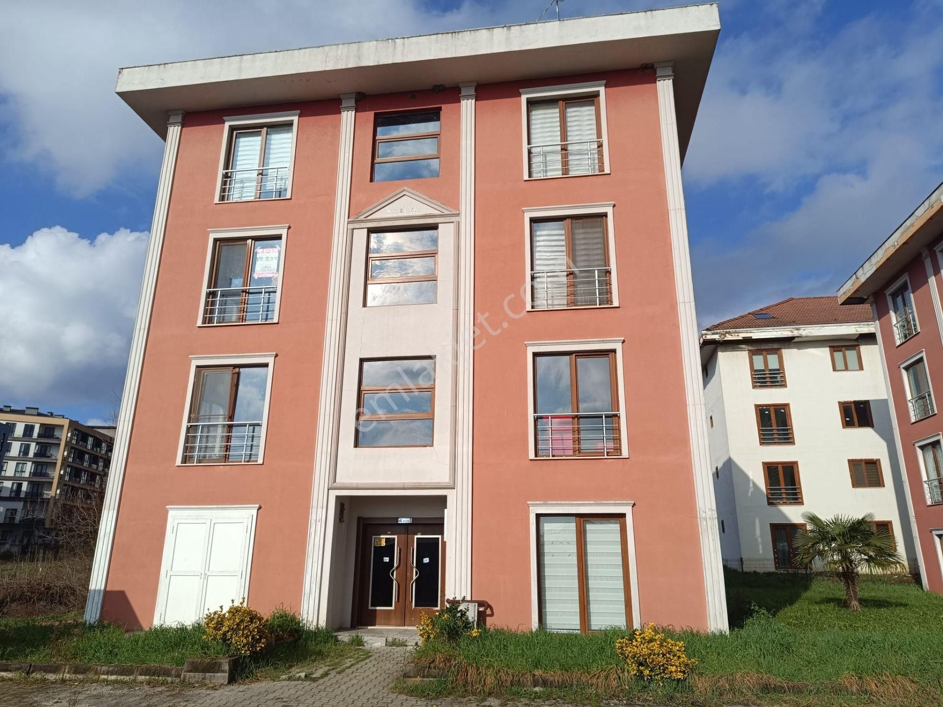 Remax Palas'tan Satılık Üniversite Bölgesinde 1+1 Daire