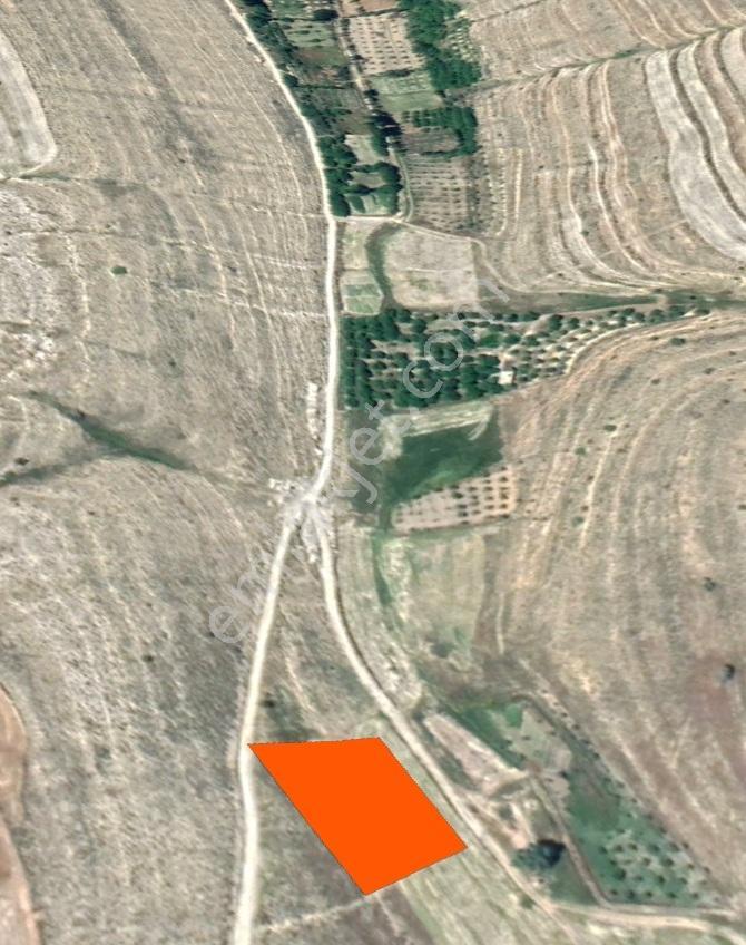 Resmi Yola Cephe 2.3 Dönüm Müstakil Tapu - Yuşa Gayrimenkul'den - Görsel 2