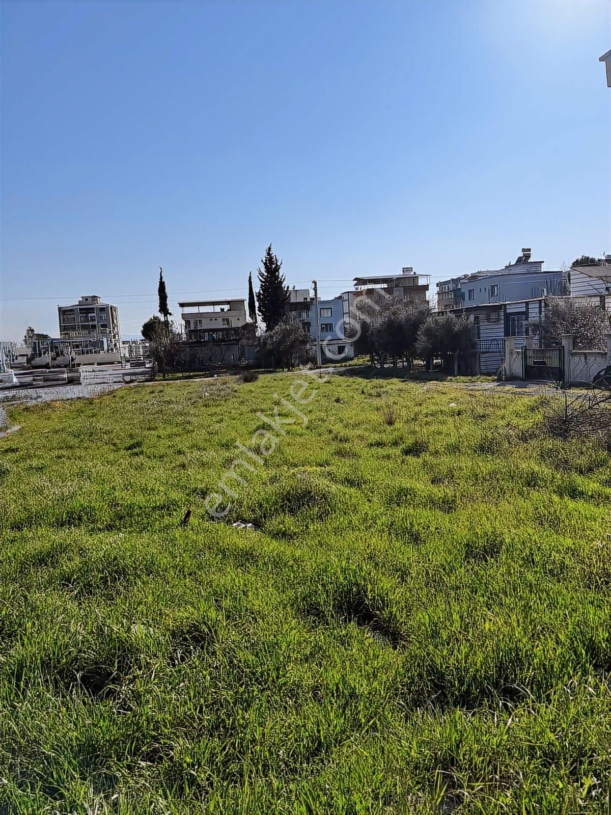 Kupon Daire | Açık Cephe | 2 Balkon + Kilerli 2+1 - Görsel 12