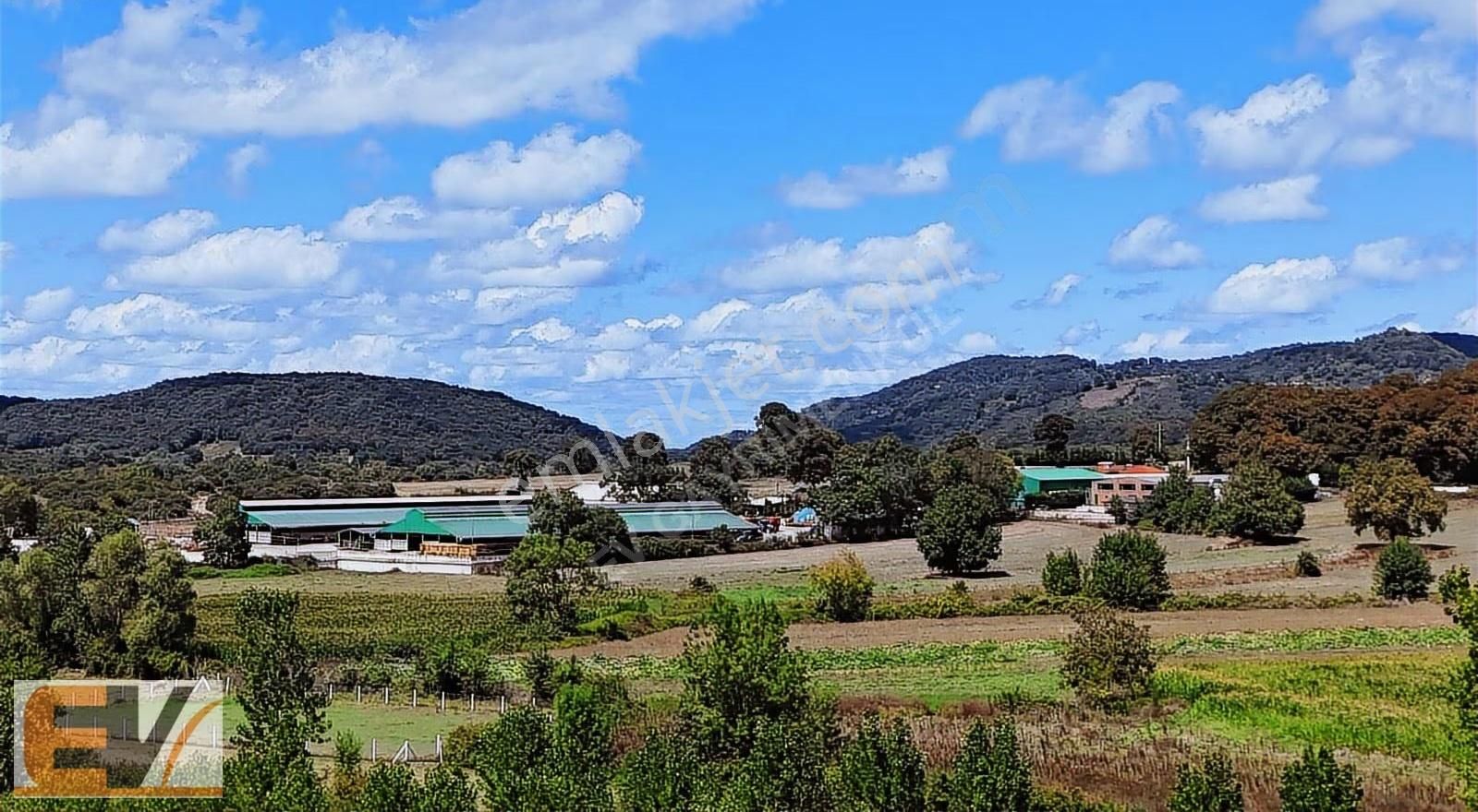 Kandıra Kerpe Yolu Üzerinde Asfalt Yola Cephe 336 M2 Satılık - Görsel 7