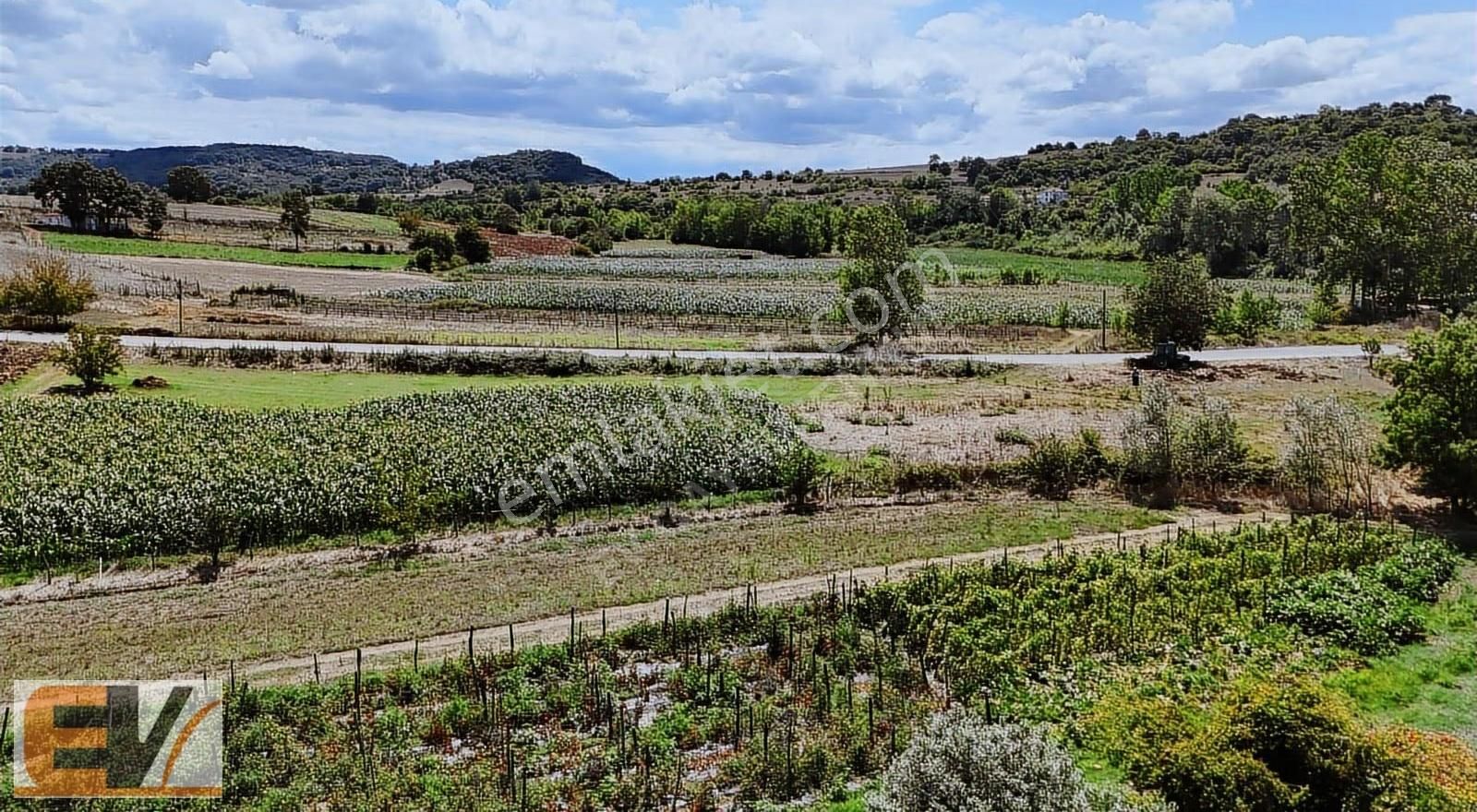 Kandıra Kerpe Yolu Üzerinde Asfalt Yola Cephe 336 M2 Satılık - Görsel 11