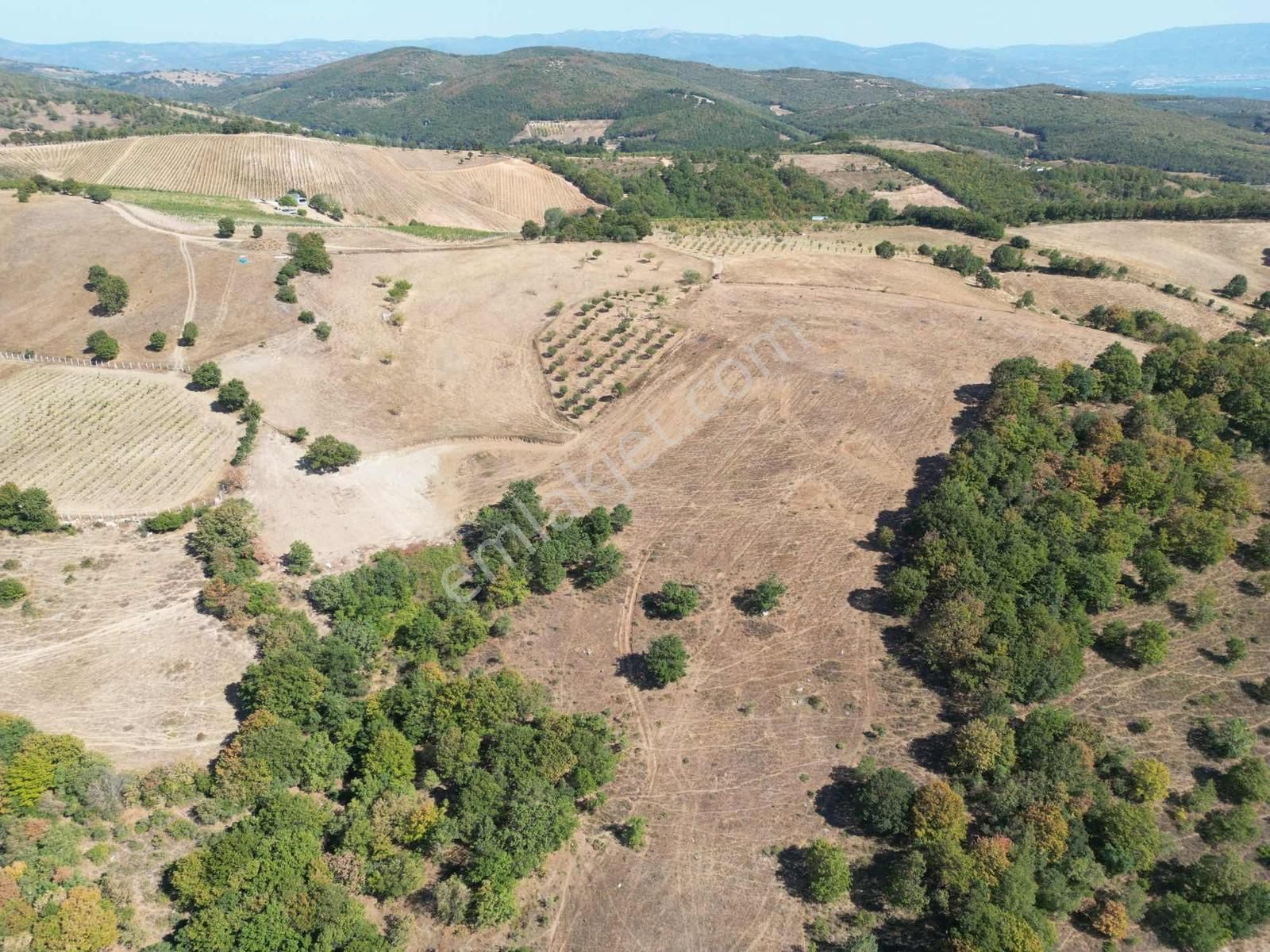 2m Yatırım'dan İznik Yörükler Mah Satılık Tarla - Görsel 21
