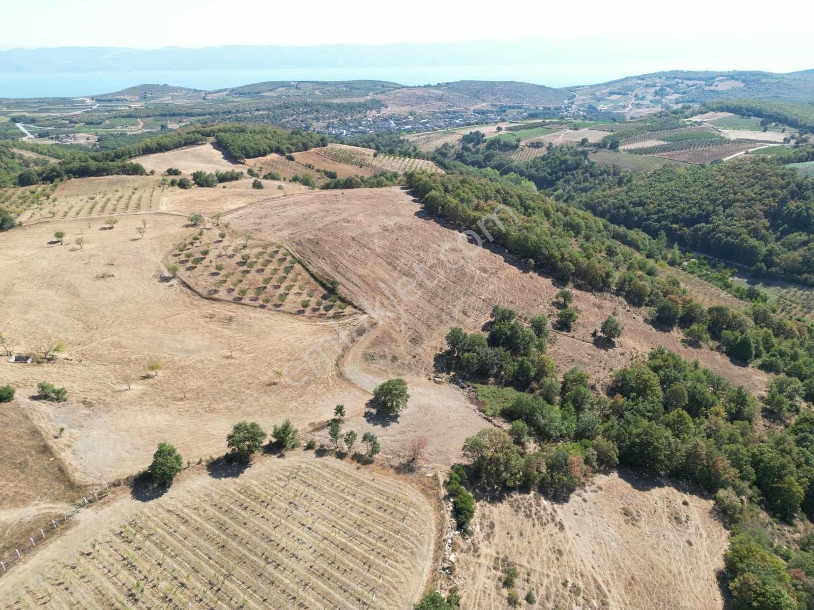 2m Yatırım'dan İznik Yörükler Mah Satılık Tarla - Görsel 8