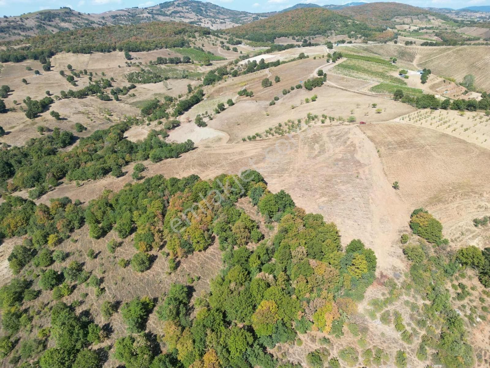 2m Yatırım'dan İznik Yörükler Mah Satılık Tarla - Görsel 14
