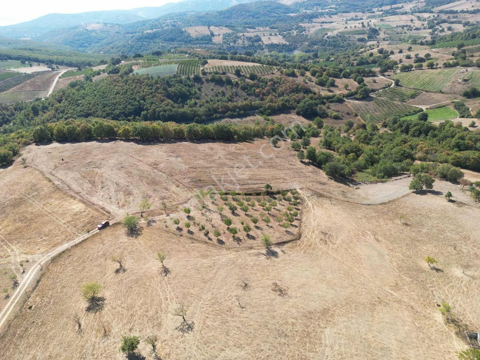 2m Yatırım'dan İznik Yörükler Mah Satılık Tarla - Görsel 3