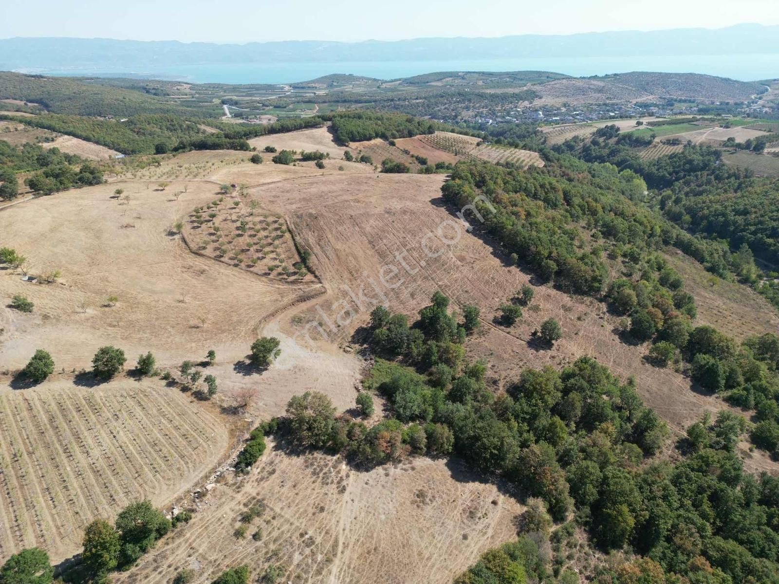 2m Yatırım'dan İznik Yörükler Mah Satılık Tarla - Görsel 7
