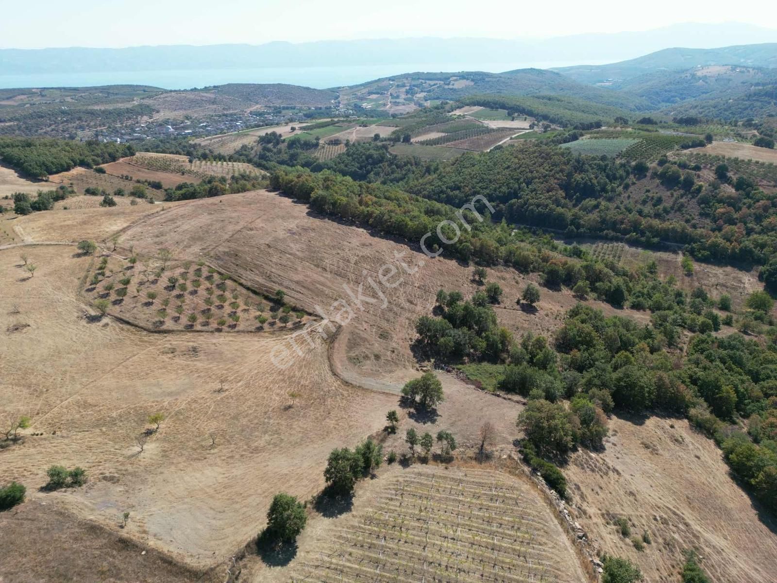 2m Yatırım'dan İznik Yörükler Mah Satılık Tarla - Görsel 16