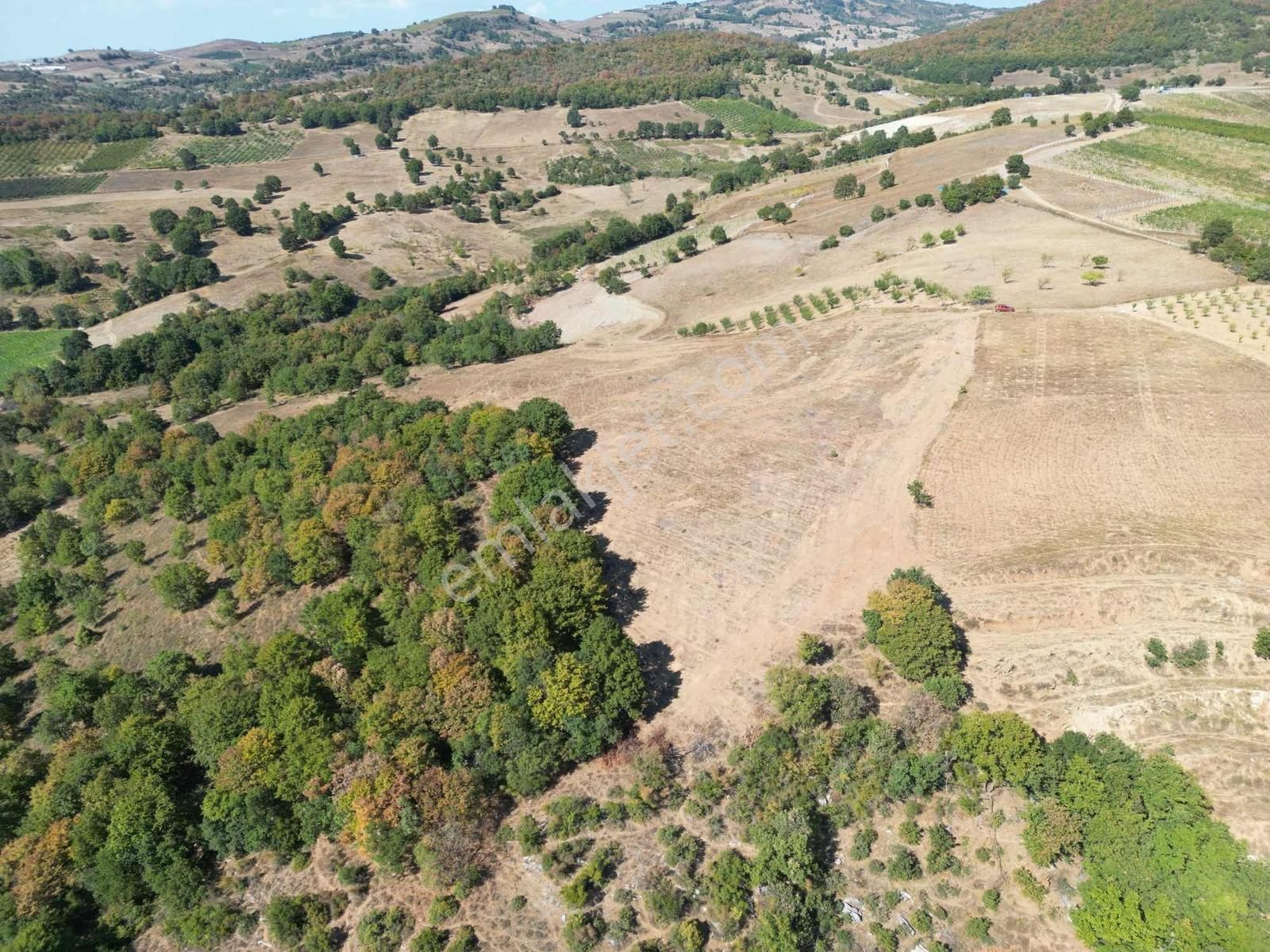 2m Yatırım'dan İznik Yörükler Mah Satılık Tarla - Görsel 13