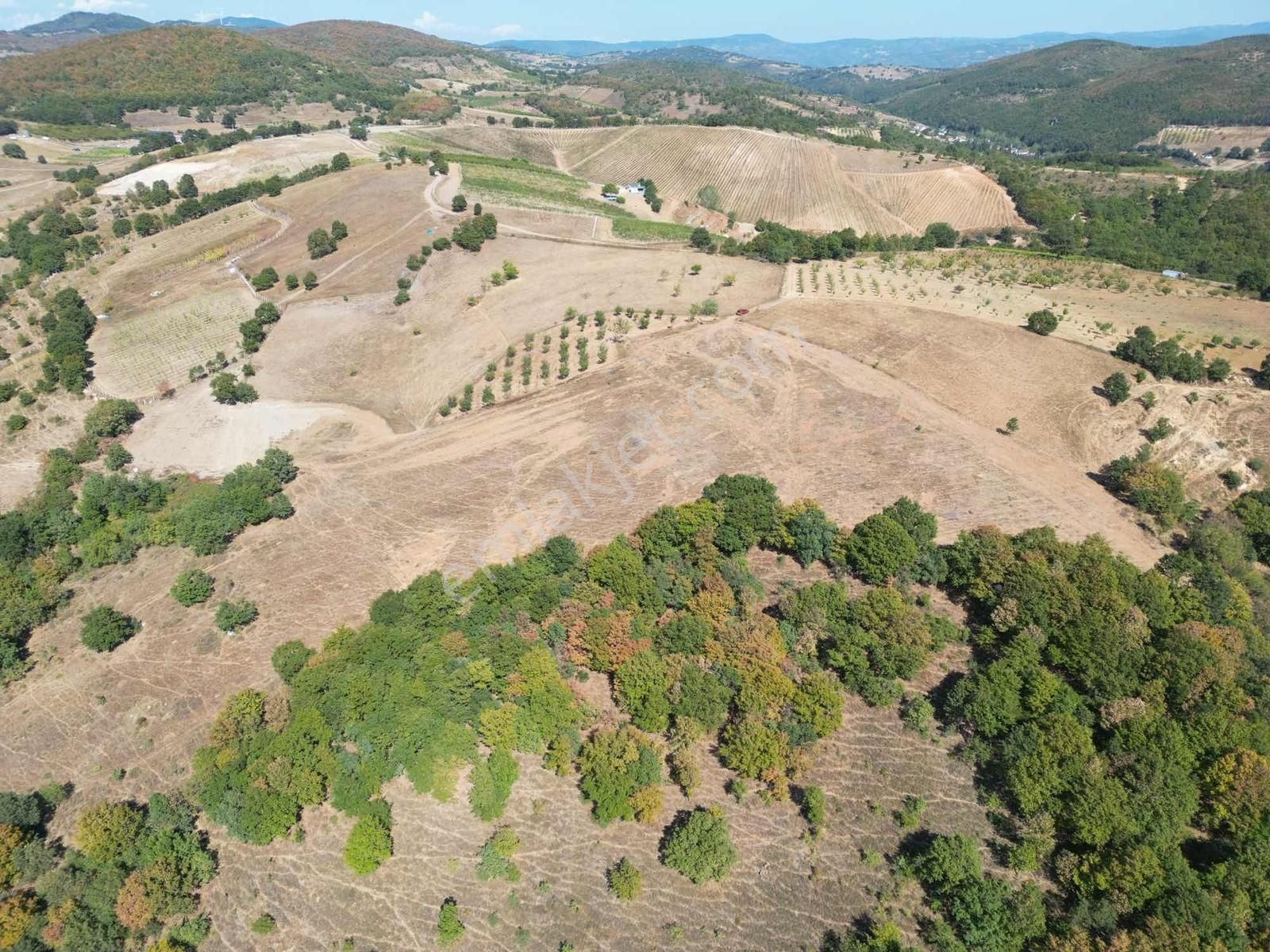 2m Yatırım'dan İznik Yörükler Mah Satılık Tarla - Görsel 2