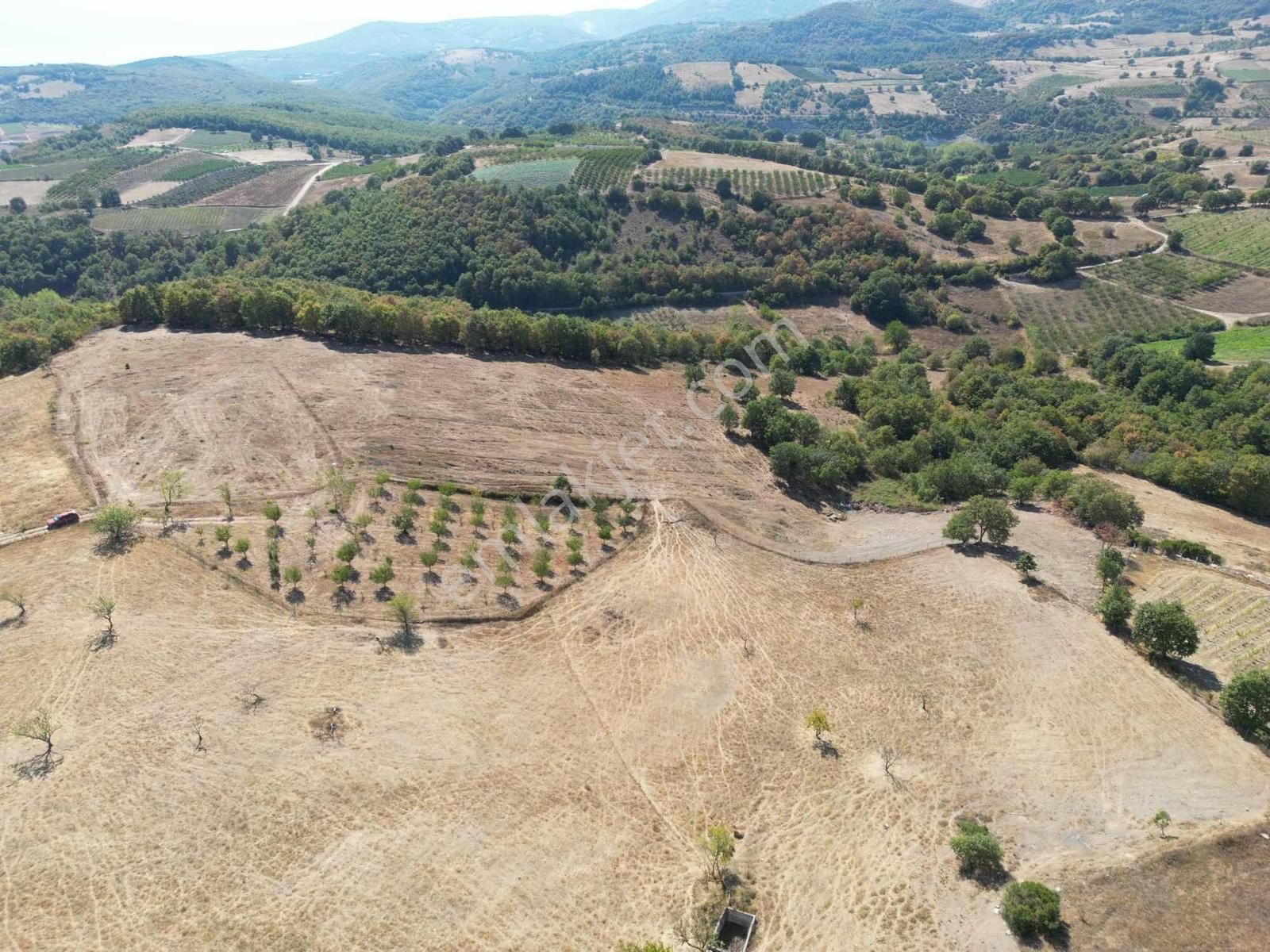 2m Yatırım'dan İznik Yörükler Mah Satılık Tarla - Görsel 10