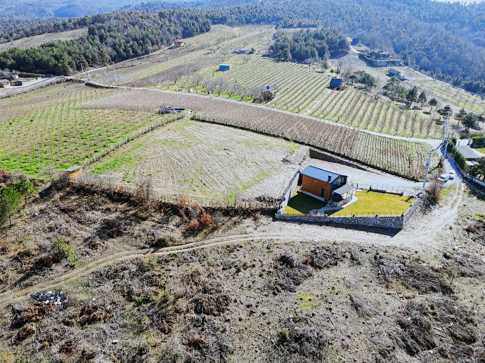 2m Yatırım'dan İznik Çamoluk Mah Full Göl Manzaralı Ağaç Ev - Görsel 16