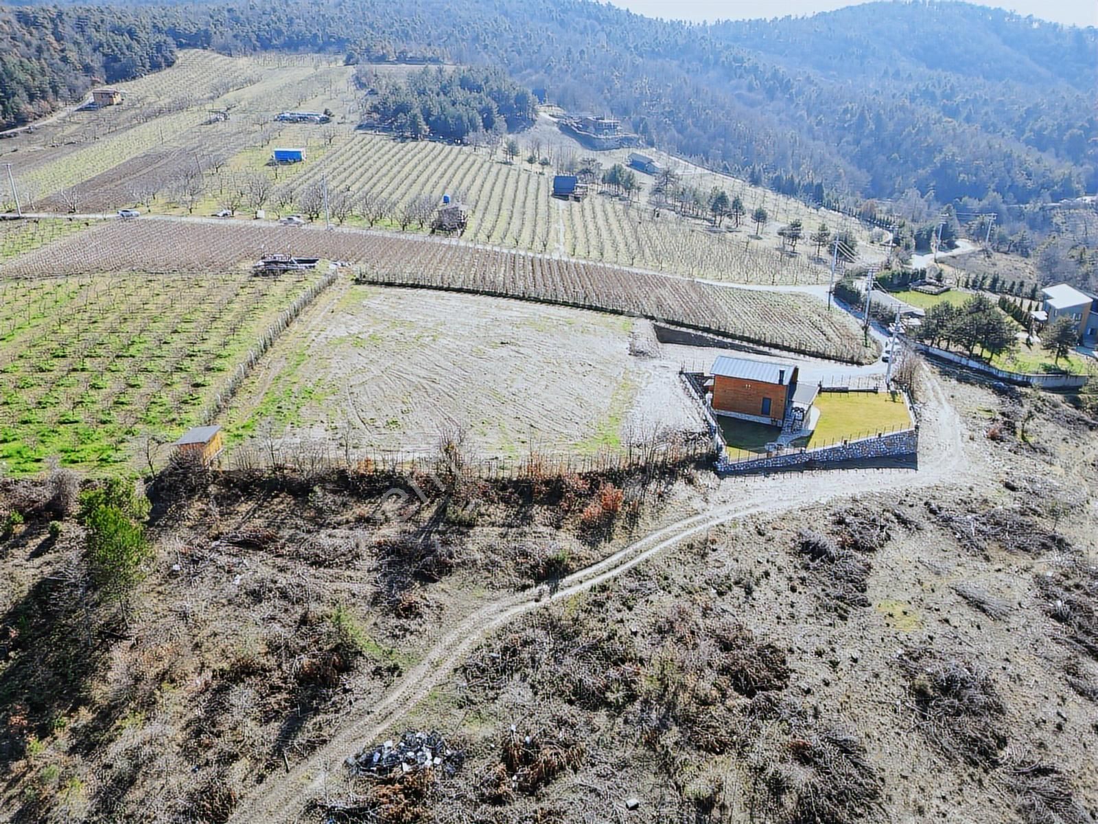 2m Yatırım'dan İznik Çamoluk Mah Full Göl Manzaralı Ağaç Ev - Görsel 17