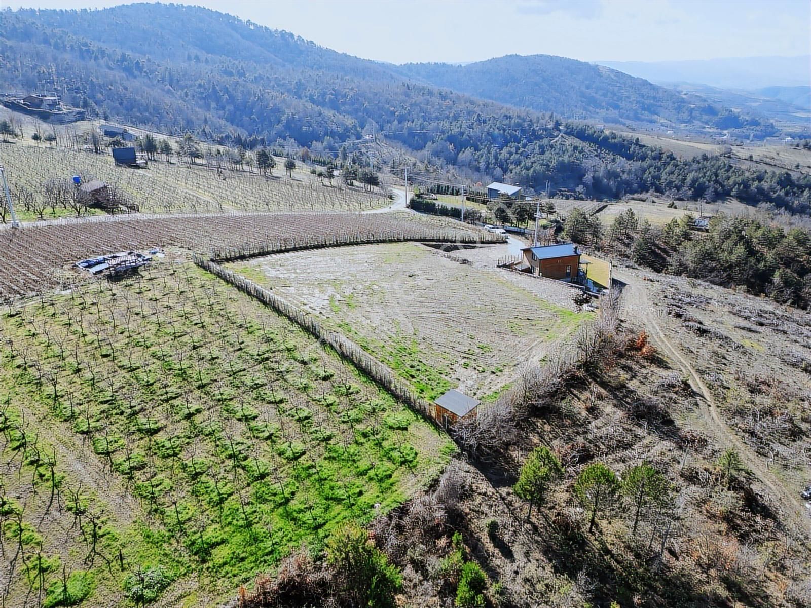 2m Yatırım'dan İznik Çamoluk Mah Full Göl Manzaralı Ağaç Ev - Görsel 9