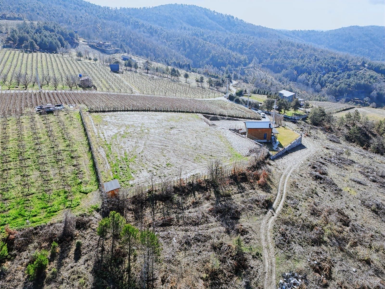 2m Yatırım'dan İznik Çamoluk Mah Full Göl Manzaralı Ağaç Ev - Görsel 19