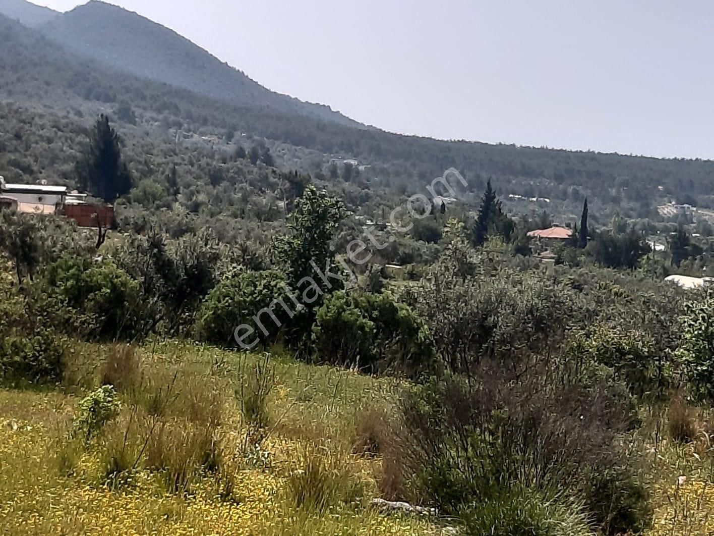 Korkuteli Güzle 11 Dönüm Satılık Tarla - Görsel 2