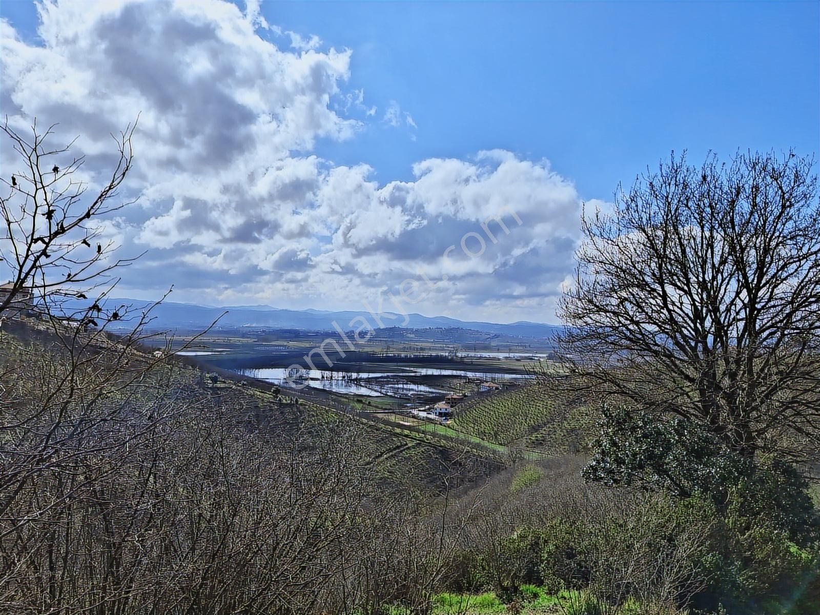 Karasu Konacık Köyünde Verimli Yatırımlık Fındık Bahçesi