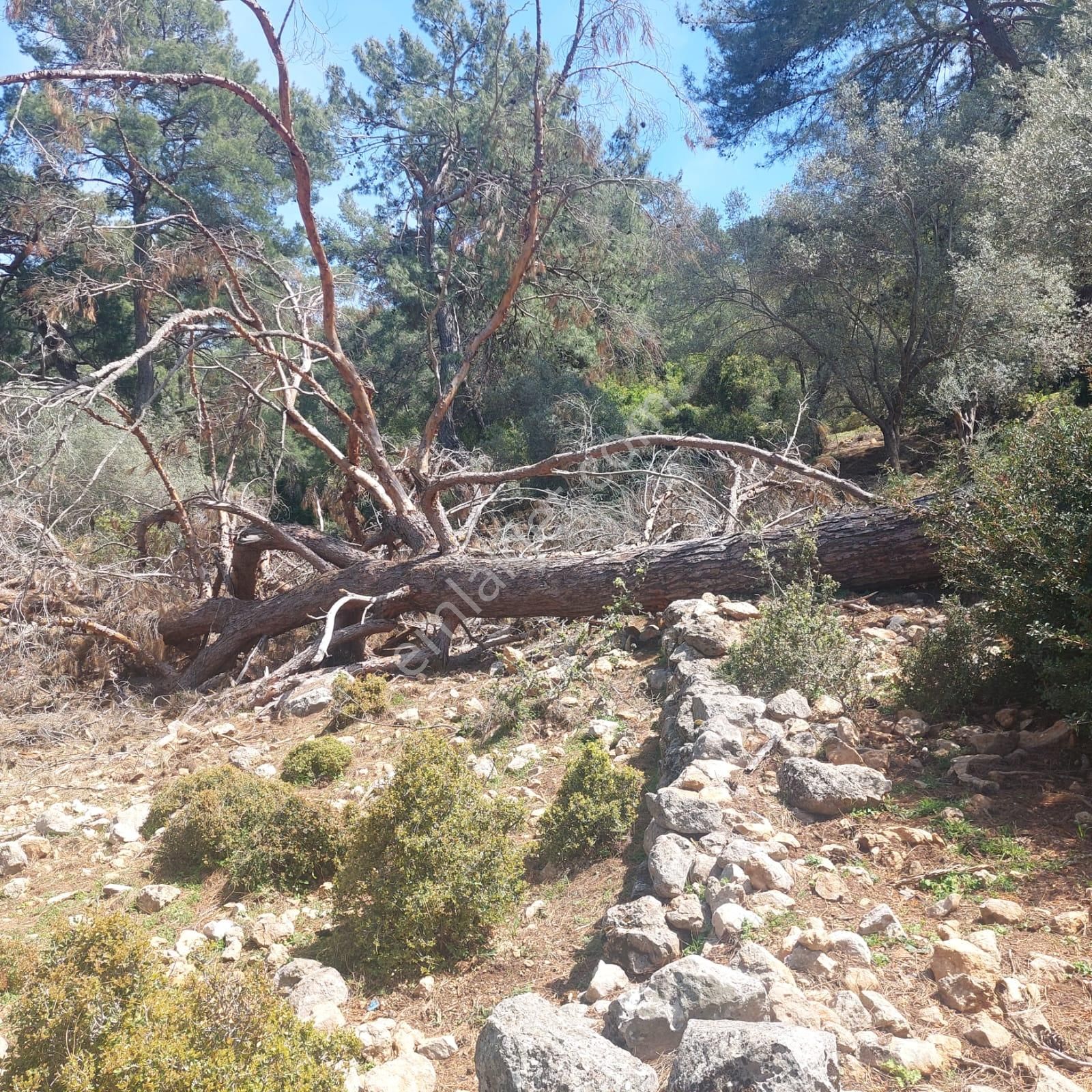 Kaş Yeşilköy Mevkiinde Satılık Arsa - Görsel 9