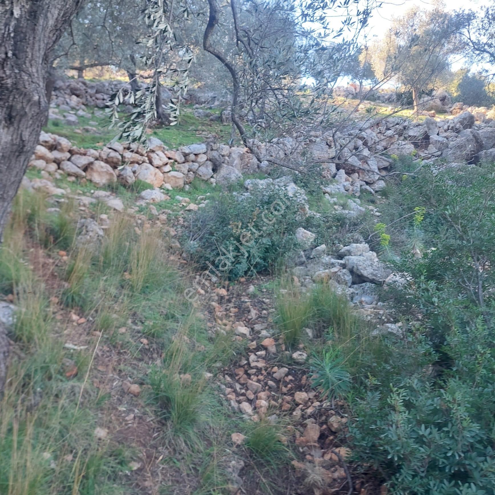 Kaş Yeşilköy Mevkiinde Satılık Arsa