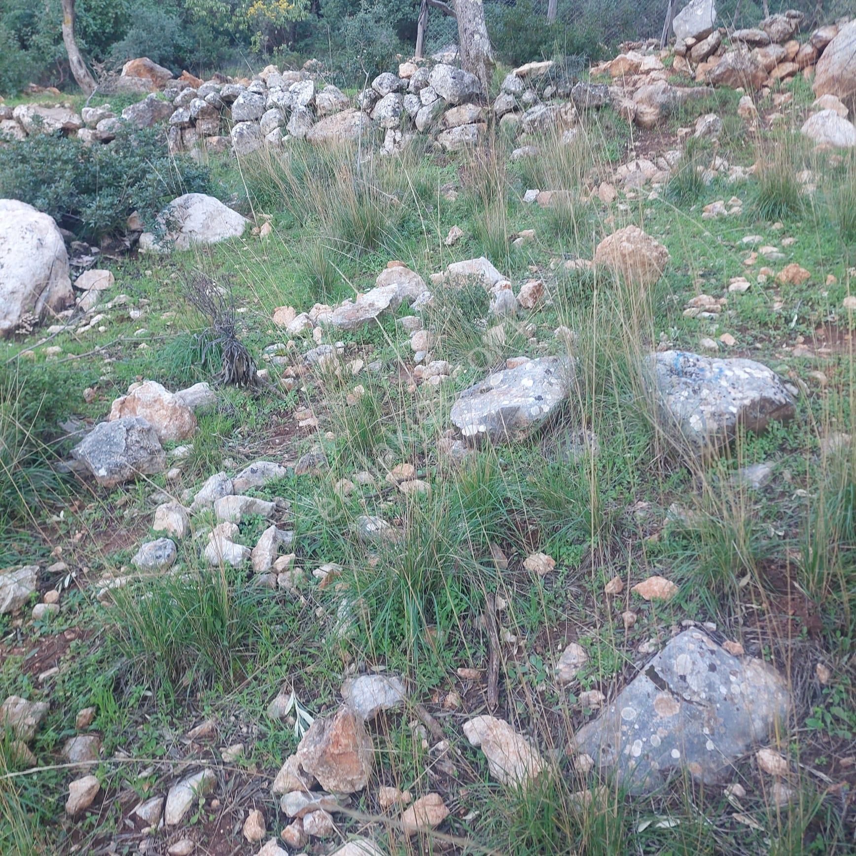 Kaş Yeşilköy Mevkiinde Satılık Arsa - Görsel 3