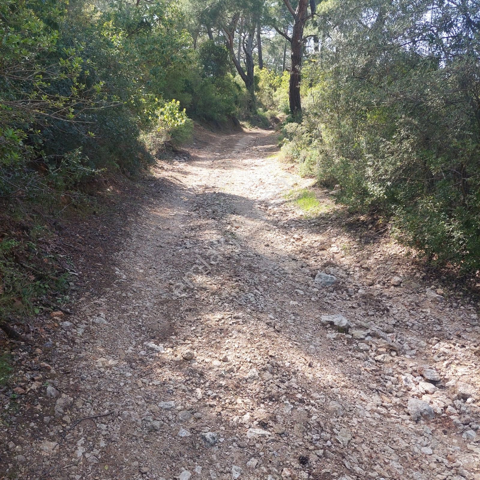 Kaş Yeşilköy Mevkiinde Satılık Arsa - Görsel 8