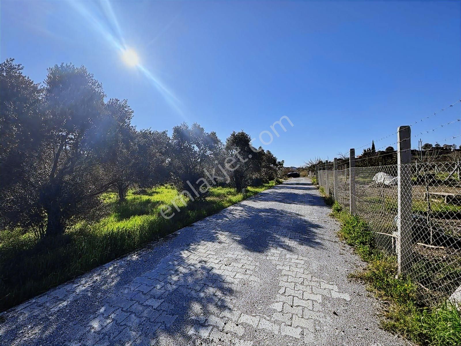 Seferihisar Kavaklıdere'de Satılık 248 M2 Tapu Dan Hisseli Arsa - Görsel 12