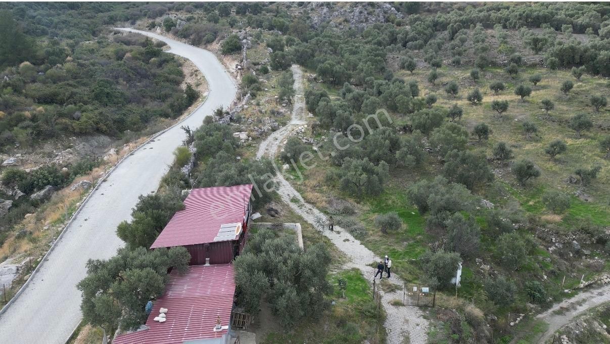 Söke Sazlı’da Satılık Zeytinlik-tarla-ev-ticari Depo - Görsel 13