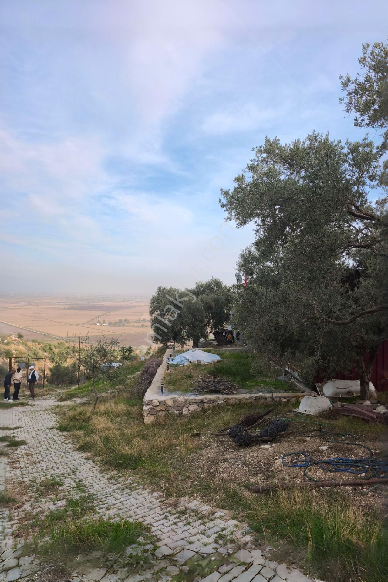 Söke Sazlı’da Satılık Zeytinlik-tarla-ev-ticari Depo - Görsel 17