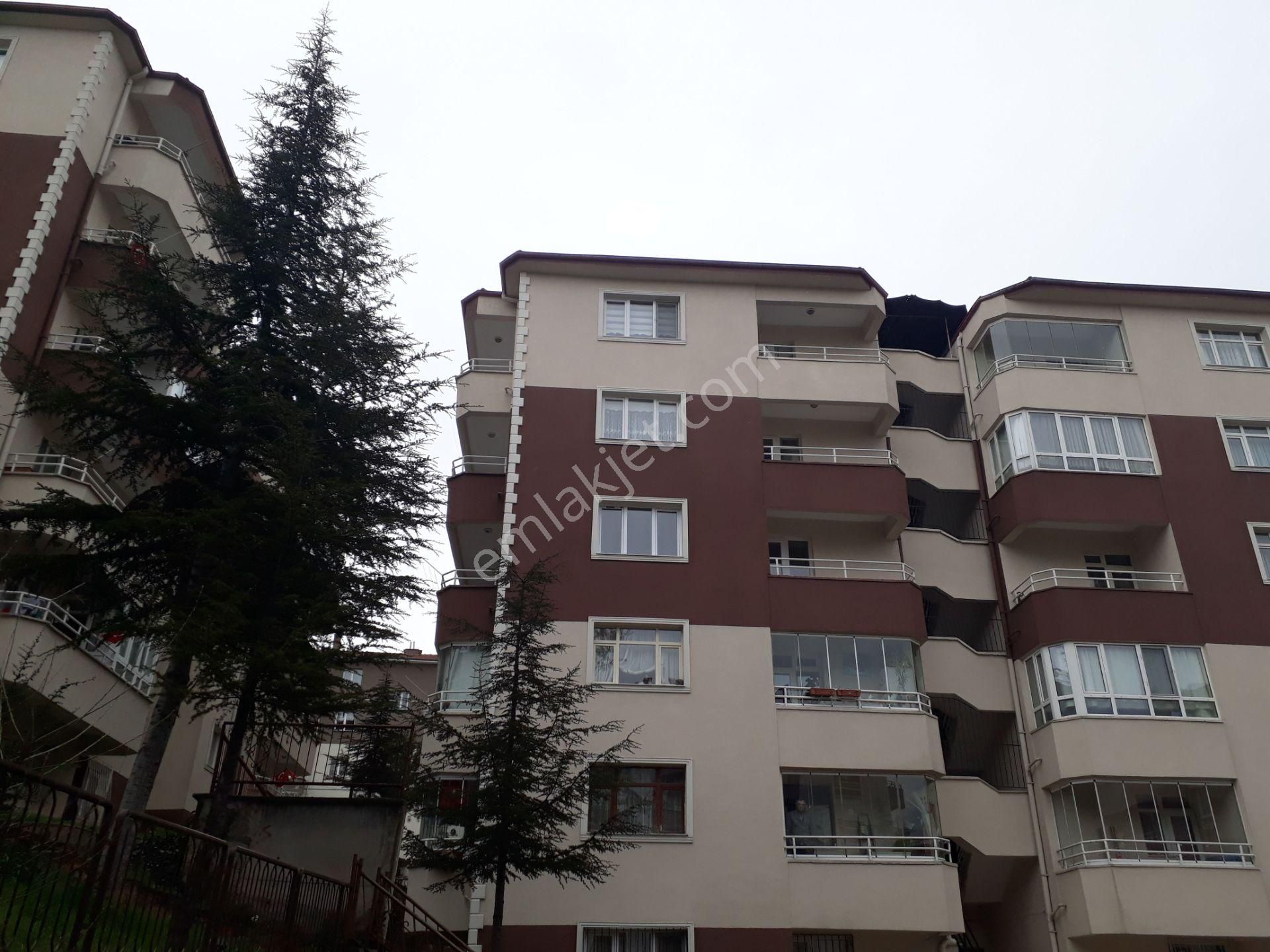 Sahibinden Aracısız, Komisyonsuz 3+1 Süper Konumda - Görsel 3
