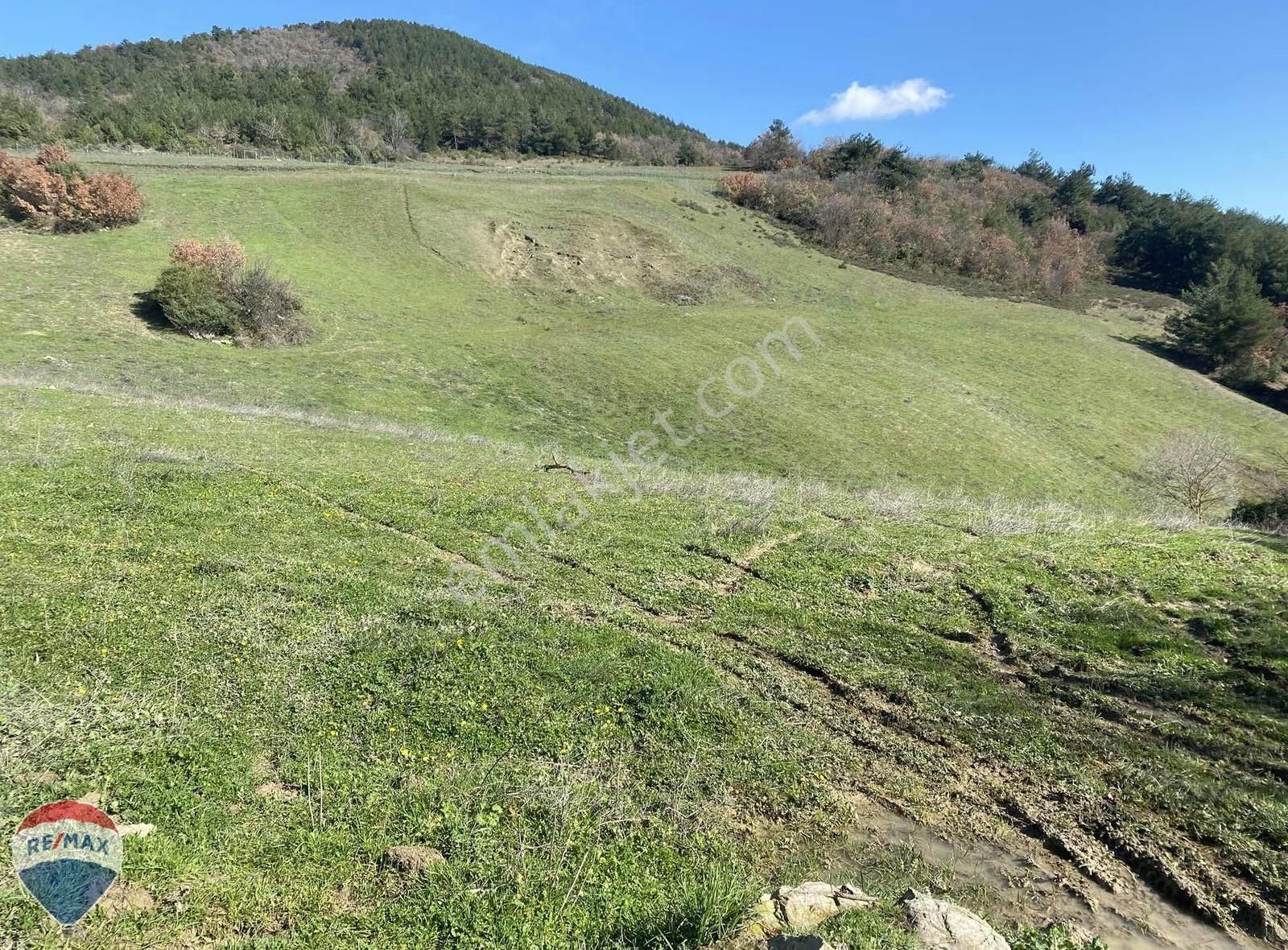 Remax Maviden İçinde Suyu Olan Panaromik Manzaralı Çiftlik Arsas