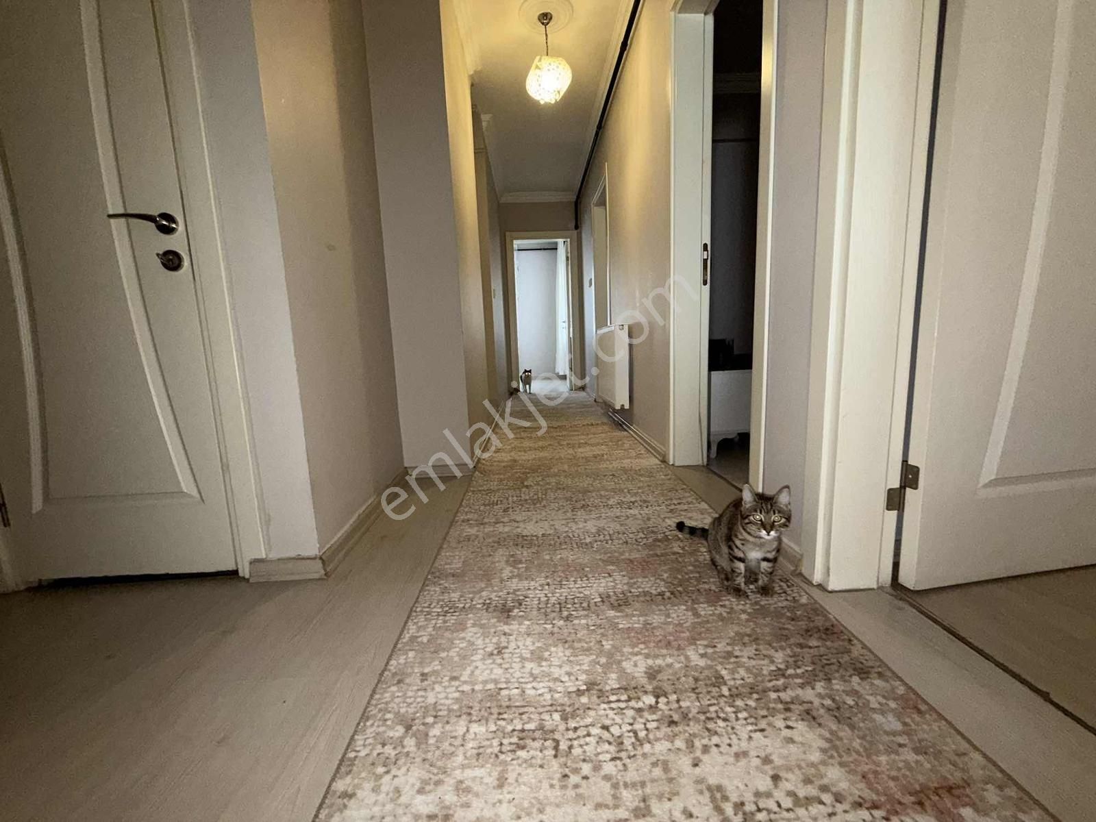 Novas'tan Kemalpaşa Sekiz Eylül' Satılık 3+1 Daire - Görsel 2